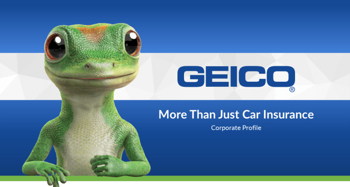 Insurance Commercials Geico