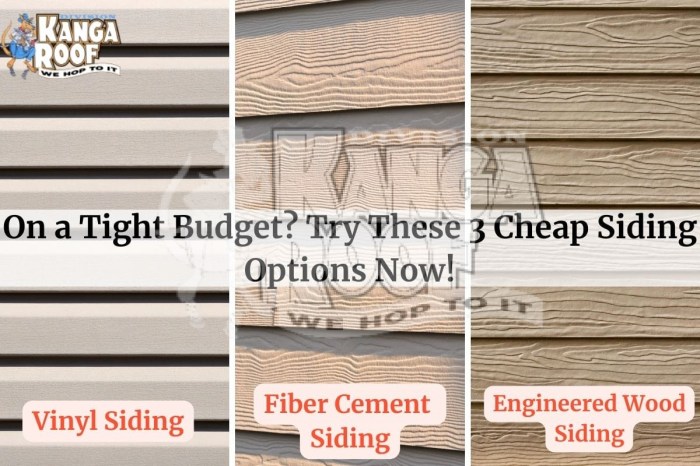 Cheap And Easy Siding Options at Frank Mauricio blog